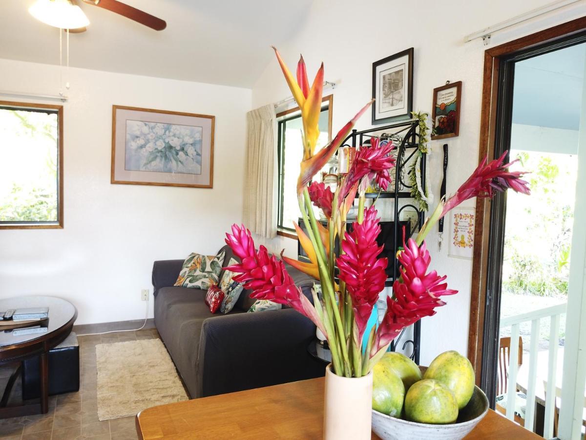 Hawaiian Ohana Home Hilo Ngoại thất bức ảnh