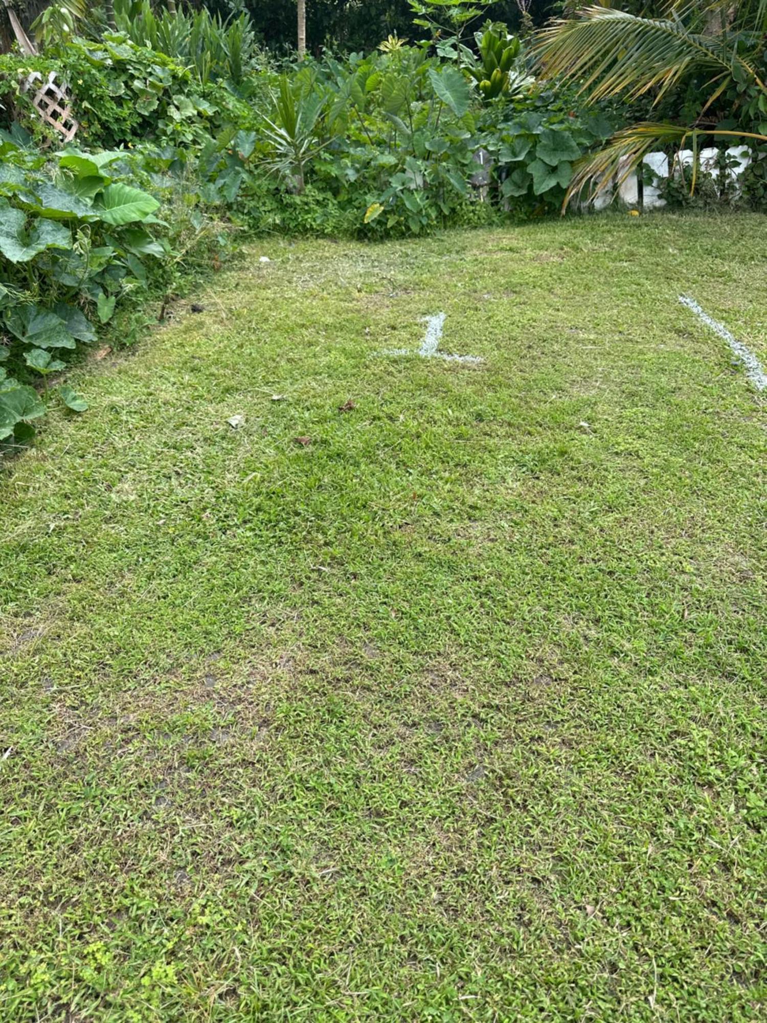 Hawaiian Ohana Home Hilo Ngoại thất bức ảnh